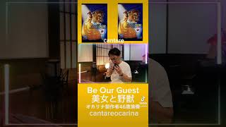 オカリナ製作者平本孝太演奏 #カンターレオカリーナ #平本孝太 #ディズニー#美女と野獣 #ocarina