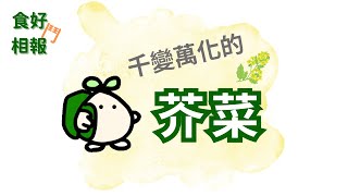 千變萬化的芥菜 #食好鬥相報  #台語影片 #台文字幕#台語主流化