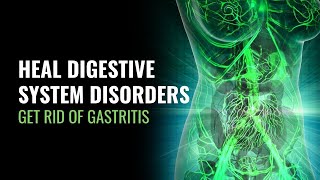 Heal Digestive System Disorders | Get Rid of Gastritis | Detox Out Your Digestive Tract | 528 Hz