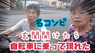 #786【80代のばあちゃん】玄関開けると、鶴ちゃんが居た‼️