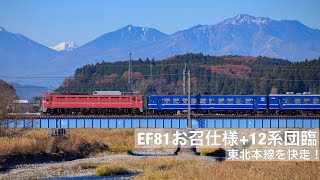 [HD]【JR東日本】9110ㇾ 「懐かしの急行列車で行く東京おとな旅」EF81 81+12系5両