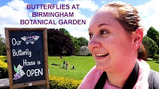 Butterfly House At Birmingham Botanical Gardens 2024 | Steff Hanson