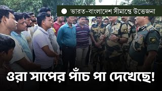 ওরা সাপের পাঁচ পা দেখেছে।