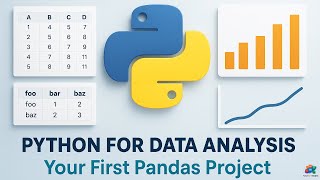 Python for Data Analysis: Your First Pandas Project (Beginner's Guide)