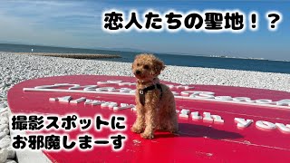 泉南LONG PARKで車中泊の２日目！マーブルビーチで記念撮影などなど