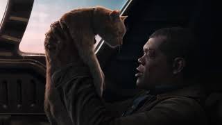 Goose Scratches Nick Fury's Eye - Captain Marvel (2019) [HD]