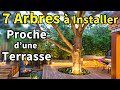 7 Arbres à planter Proche d'une Terrasse + 1 en Bonus