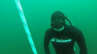 Epic Freediving at Miracle Waters South Africa