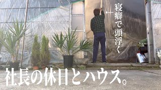 チワ散歩🐾じっくり植物散策。やっぱりカッコいい僕の植物たち