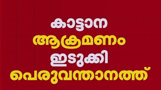 സംസ്ഥാനത്ത് വീണ്ടും ജീവനെടുത്ത് കാട്ടാന; സംഭവം ഇടുക്കി ടി ആർ ആന്റ് ടി എസ്റ്റേറ്റിൽ