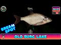 Russian Fishing 4 - Русская Рыбалка 4 - Old Burg Lake - Bream Spot - #459