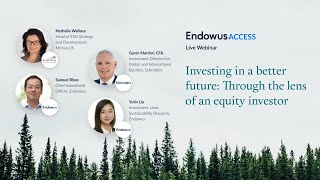 Investing in ESG equities funds - through the lens of sustainability fund managers