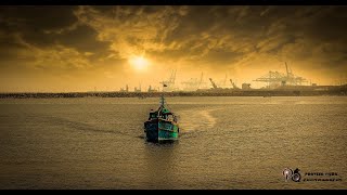 Chennai Fishing Harbour CFH || Both Strange and Magnificent || Documentary