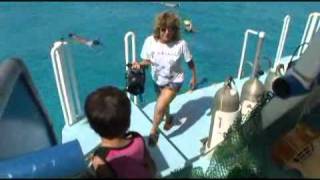 Bahamas Dolphin cruise / WEB-LUE / Takaji Ochi