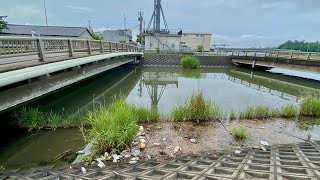 金沢･大雨で増水した犀川に流れるペットボトルは海へ…