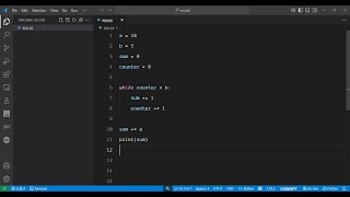 Python 3 Program to Add Two Numbers Using While Loop in Terminal Tutorial For Complete Beginners