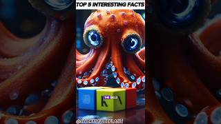 TOP 5 INTERESTING FACTS #shorts #facts #top #interesting #facts #shortsfeed #shortsviral