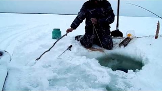 釣魚實拍！在冰天雪地求生一點也不容易，驚喜在最後！