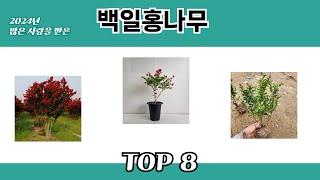 2024년 많은 사랑을 받은 백일홍나무 추천 TOP 8