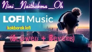 Nini Naithokma oh || Official || Kokborok Lofi song