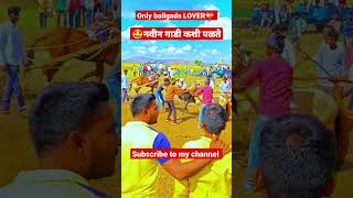 🐎💝नवीन बैलगाडा जोडी//#bailgada #trendingshorts #bailgadasharyat#baila  #bakasur #shorts #shortvideo