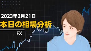 【FX】見るだけで稼げる相場分析！2023年2月21日　本日はNZDJPYが狙い目！