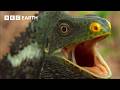 A Journey Across Earth's Incredible Islands | BBC Earth