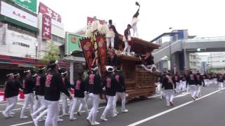 2016和泉市だんじり祭り・和泉市市制六十周年記念曳行　市辺町①（平成28年10月2日）