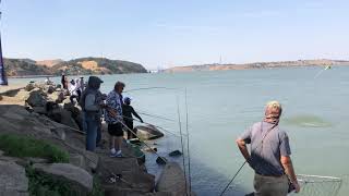 Skip’s salmon at Benicia state park