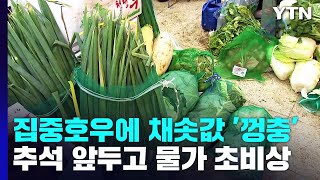 집중 호우에 밭작물 가격 '껑충'...8월 물가 '초비상' / YTN