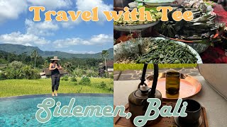 TRAVEL VLOG! Travel with Tee to Sidemen, Bali Part 2