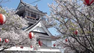 徳島で遊ぶ 妙見山の桜