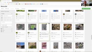 How to Add Nature Observations on the iNaturalist Website