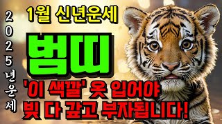 호랑이띠 주목! 2025년 1월 호랑이띠 운명이 바뀝니다ㅣ힘들었던 상반기를 한번에 보상받을 재물이 들어옵니다 운세 50년생 62년생 74년생 86년생 98년생 재물운