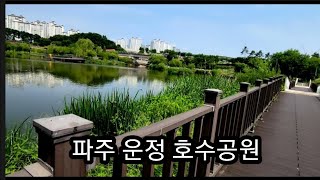 운정 호수공원 한바퀴 산책,파주 운정 호수공원 ,소소한일상,