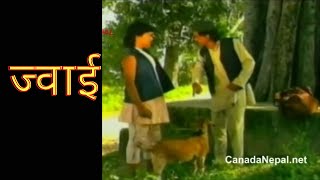 ज्वाई || दशैंको बेला हेर्नैपर्ने भिडियो || Nepali Comedy Video