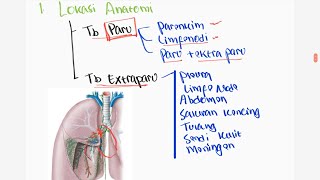 Klasifikasi Tuberkulosis (TBC) - Bahas soal UKMPPD