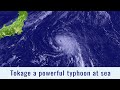 Powerful Typhoon Tokage off the coast of Japan - 7am August 24