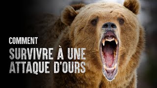 Comment survivre à une attaque d’ours