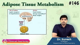 146. Adipose Tissue Metabolism