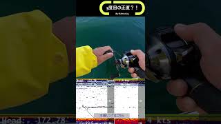 冬のタイは掛からなくて苦戦します #瀬戸内タイラバ #lowrance #釣り