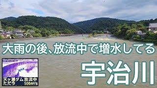 大雨で増水してる宇治川（2021/08/15）