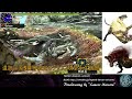 ユニさんのmhx生放送6 アマツ・ウカム・獰猛ラーをマルチプレイ【実況プレイ】（アーカイブ） broadcast of mhx cross generations