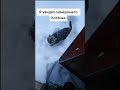 МУЖЧИНА СПАС КОТЁНКА КОТОРЫЙ ЗАМЕРЗАЛ НА УЛИЦЕ ПРИЮТИЛ КОТА man saved kitten