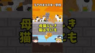 【秘密結社】ねこねこネットワーク♪子猫救出編　＃Shorts