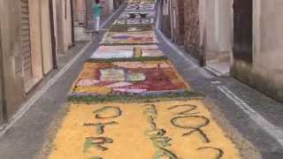 Infiorata a Itri   10 June 2012