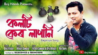 Koloshi Ker Lapani || Adivashi Baganiya Song || Brij Hitesh ||