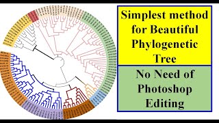 Phylogenetic Tree Construction #iTol #Genomewidestudy