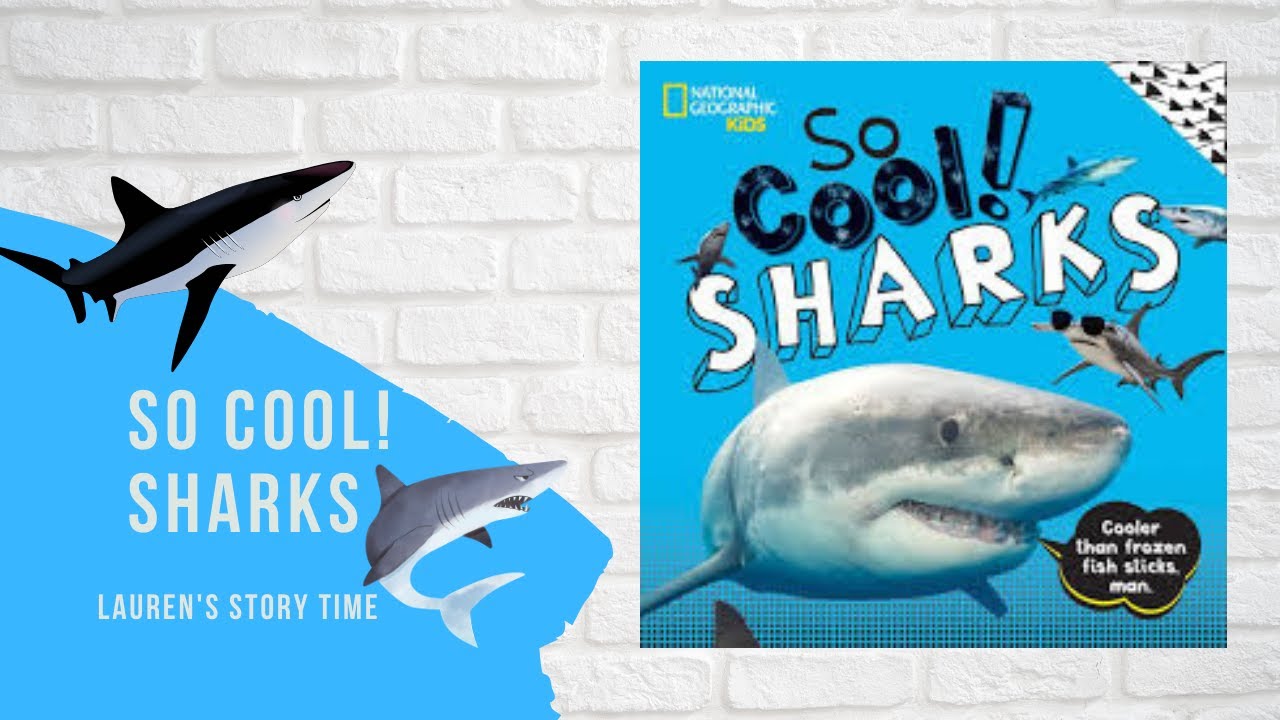 Read Aloud: So Cool! Sharks - YouTube