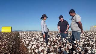 Australian Cotton Farm Tour 2023